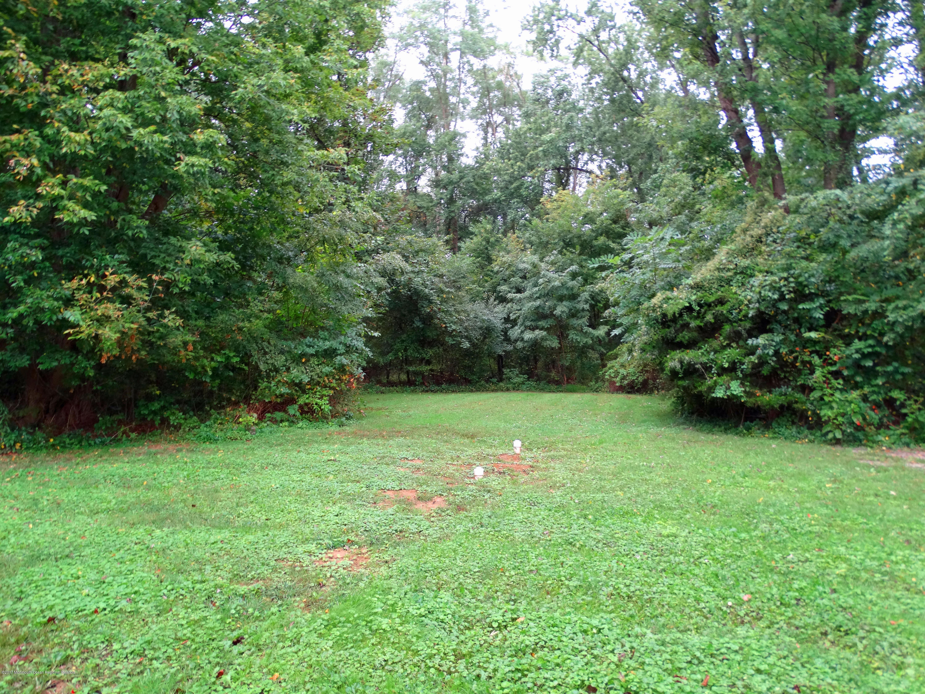 850 Adelphia Road Freehold, NJ 07728 - Photo 23 of 25 a backyard of a house with lots of green space