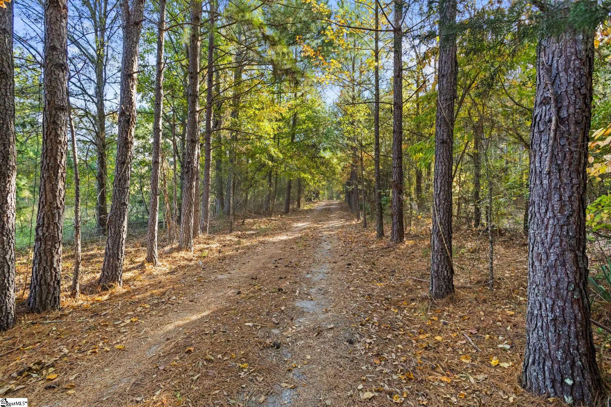 509 Horseshoe Road Honea Path, SC 29654 - Photo 28 of 36 Gallery Image 28