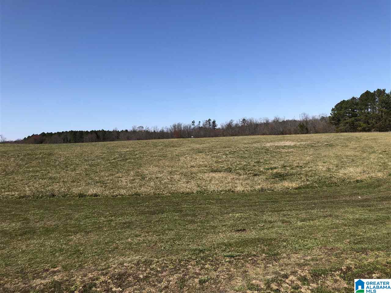 0 County Road 642 Henagar, AL 35978 - Photo 4 of 9
