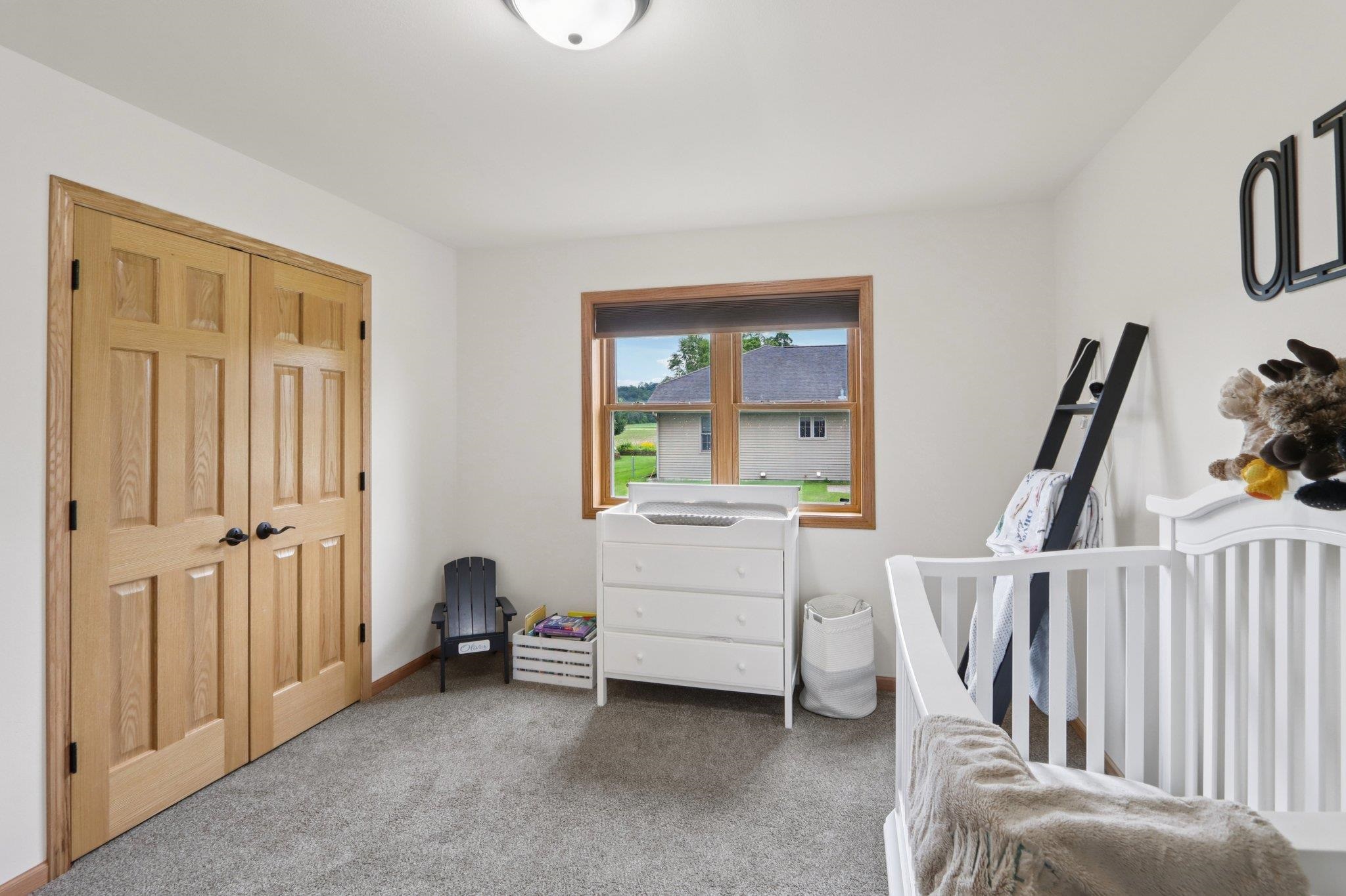 400 Mourning Dove Court Arena, WI 53503 - Photo 20 of 40