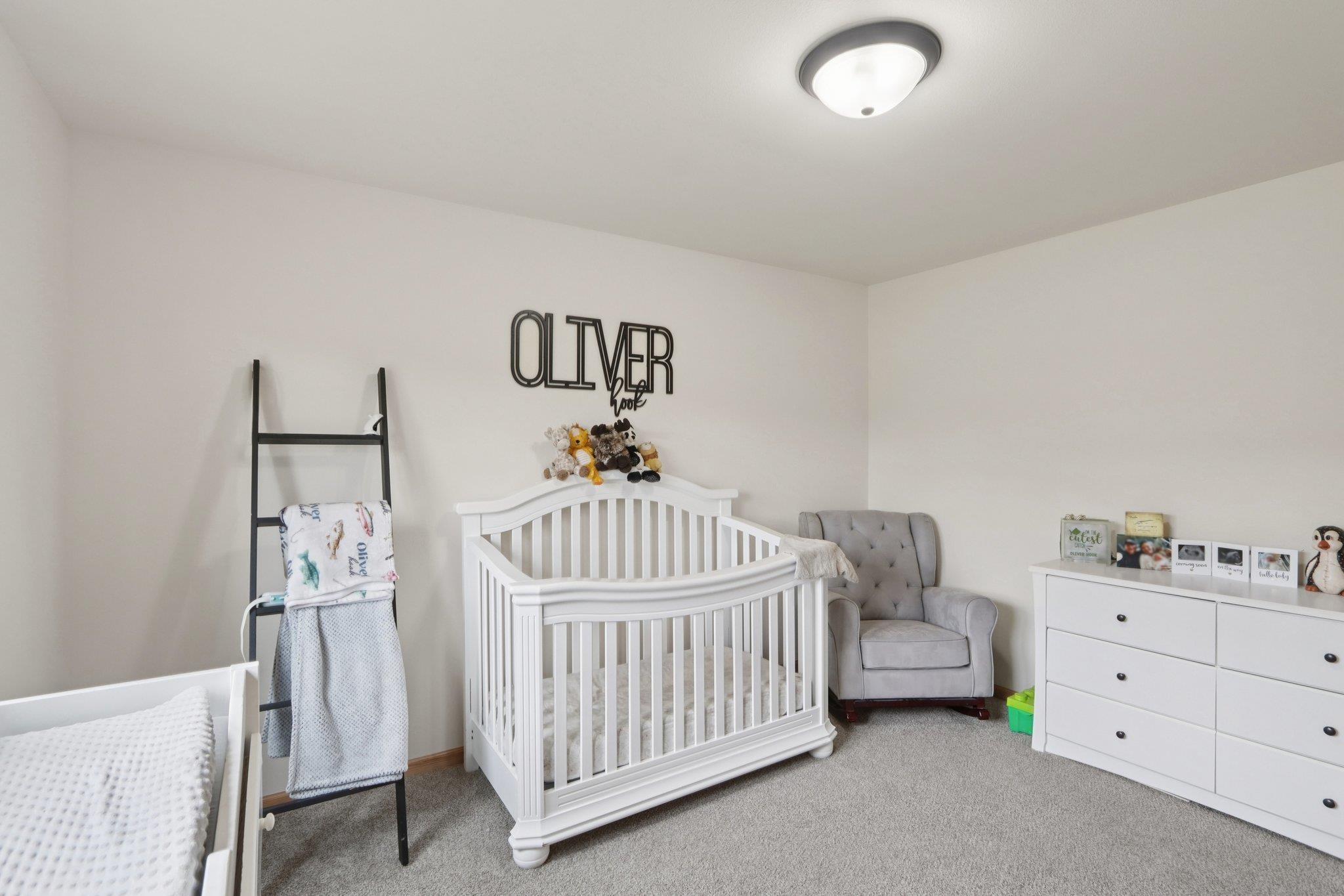 400 Mourning Dove Court Arena, WI 53503 - Photo 22 of 40