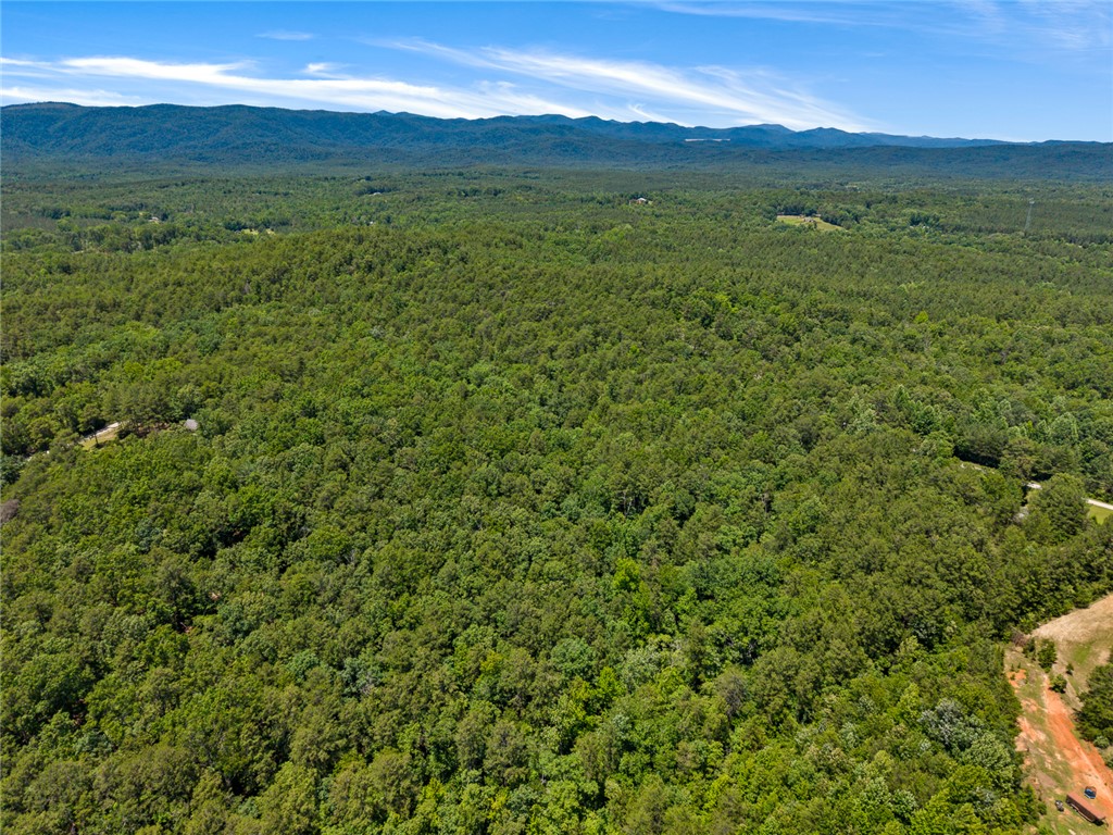 0 Pine Mountain Road Tamassee, SC 29686 - Photo 14 of 15