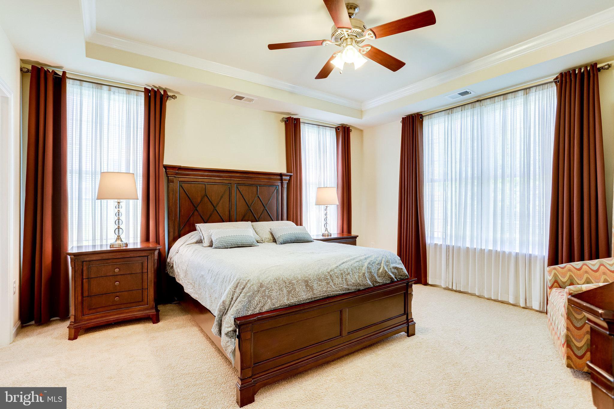 44320 McHenry Square Ashburn, VA 20147 - Photo 19 of 55 MBR with tray ceiling, crown molding & ceiling fan