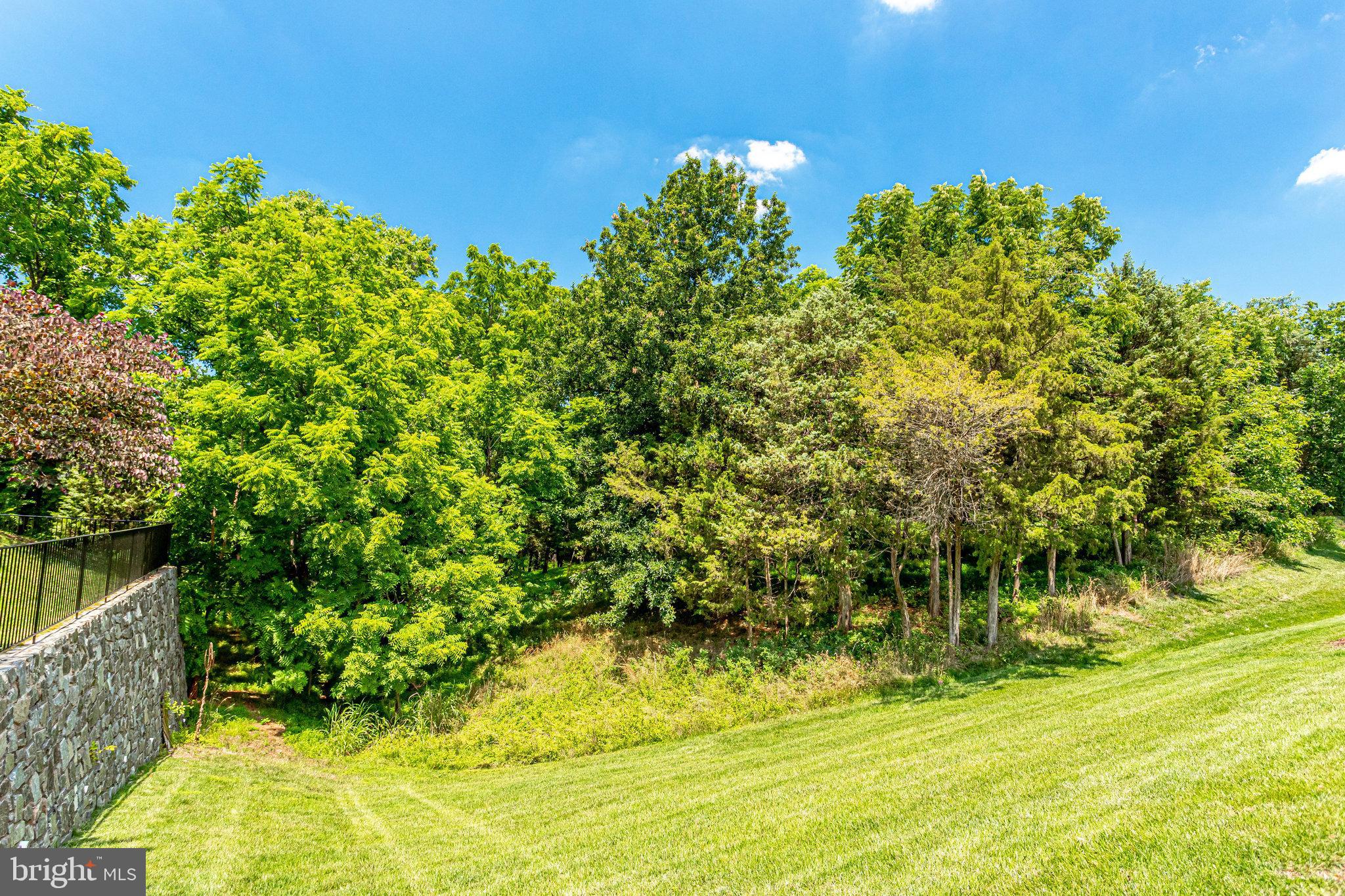 44320 McHenry Square Ashburn, VA 20147 - Photo 41 of 55 Privacy abounds! Lovely views from back patio