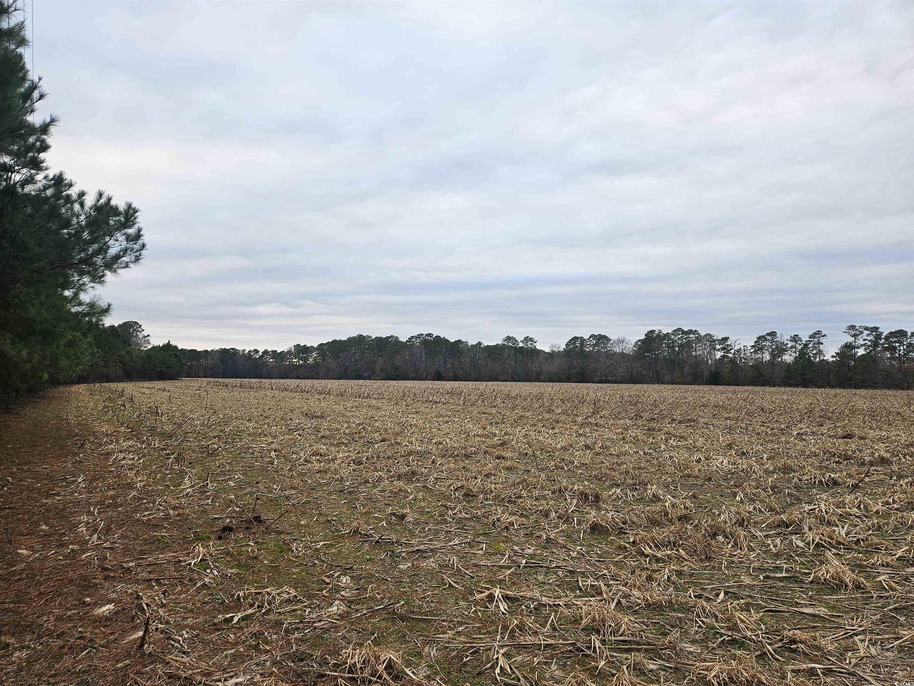 View of undeveloped land featuring rural landscape