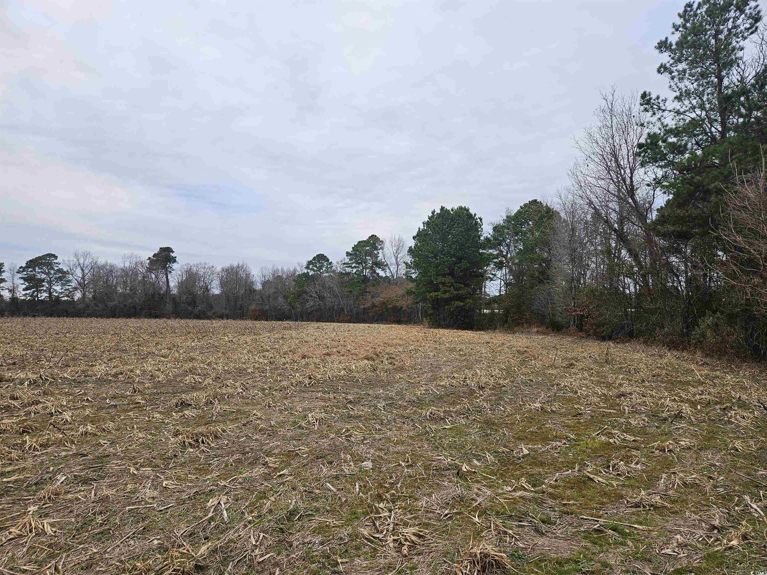 Tbd 38-ac Tbd 38-ac Cart Road Pamplico, SC 29583 - Photo 2 of 3 View of undeveloped land with rural landscape