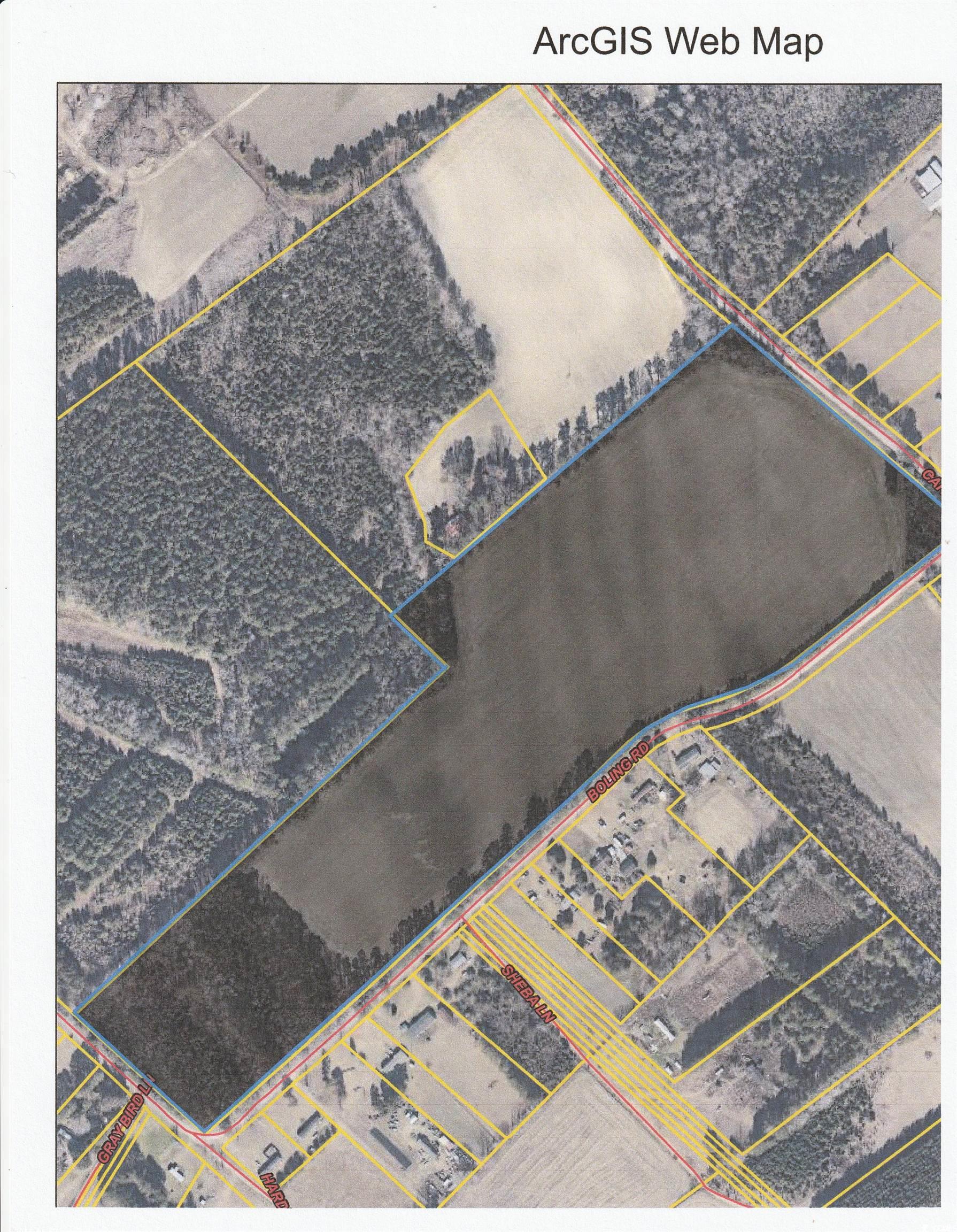 Tbd 38-ac Tbd 38-ac Cart Road Pamplico, SC 29583 - Photo 3 of 3 Aerial view of property's location featuring property parcel outlined