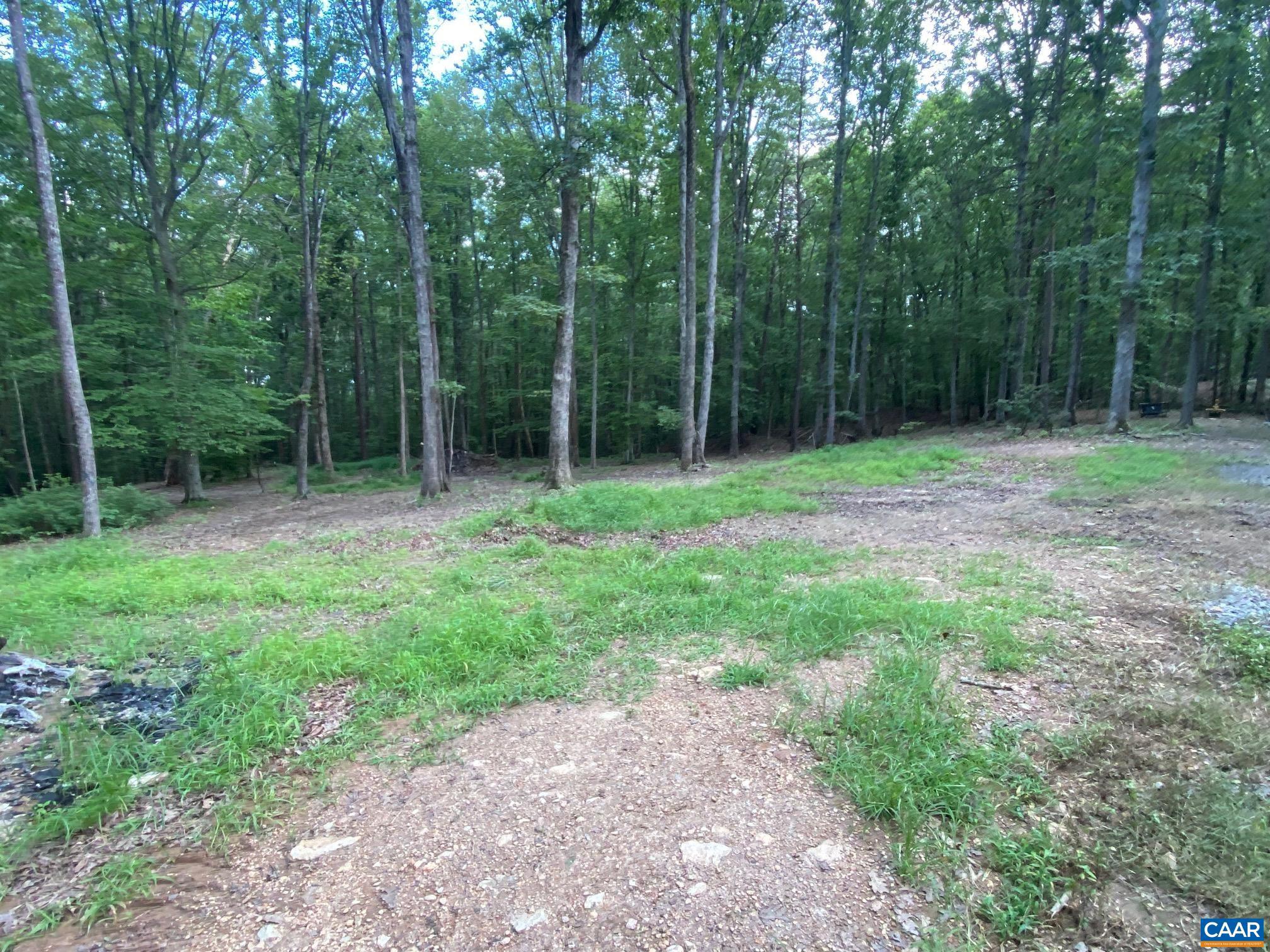 N-74 Salem Road, Unit 61A33F Schuyler, VA 22969 - Photo 11 of 12