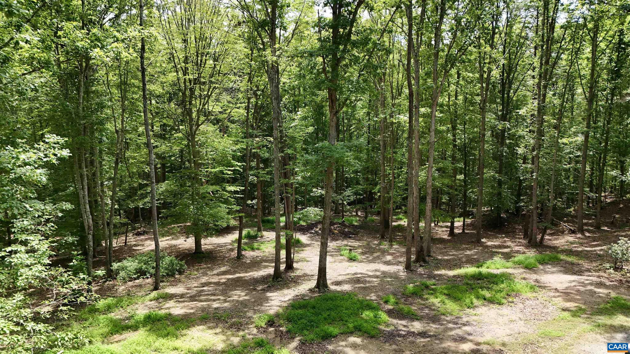 N-74 Salem Road, Unit 61A33F Schuyler, VA 22969 - Photo 5 of 12