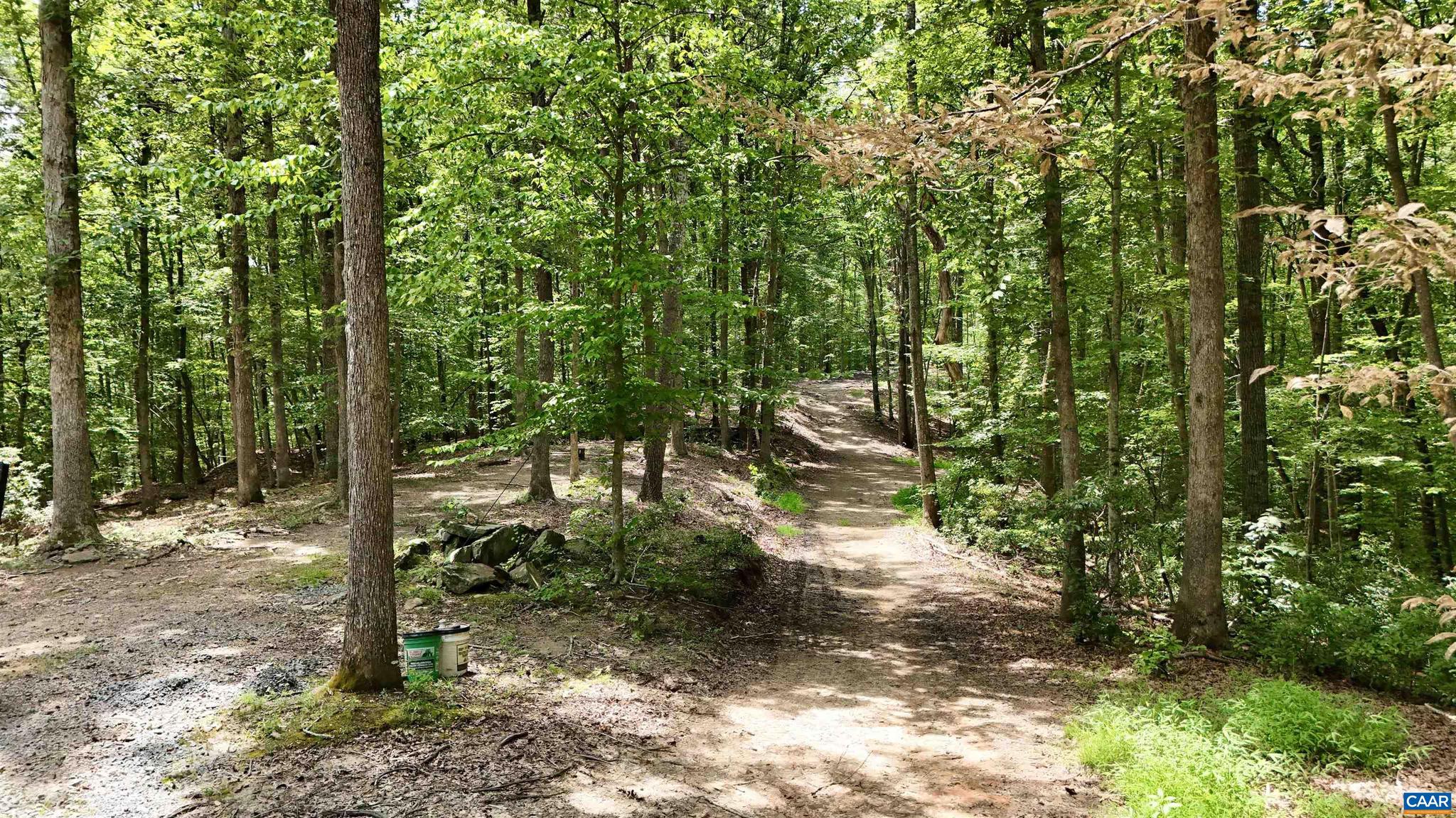 N-74 Salem Road, Unit 61A33F Schuyler, VA 22969 - Photo 9 of 12