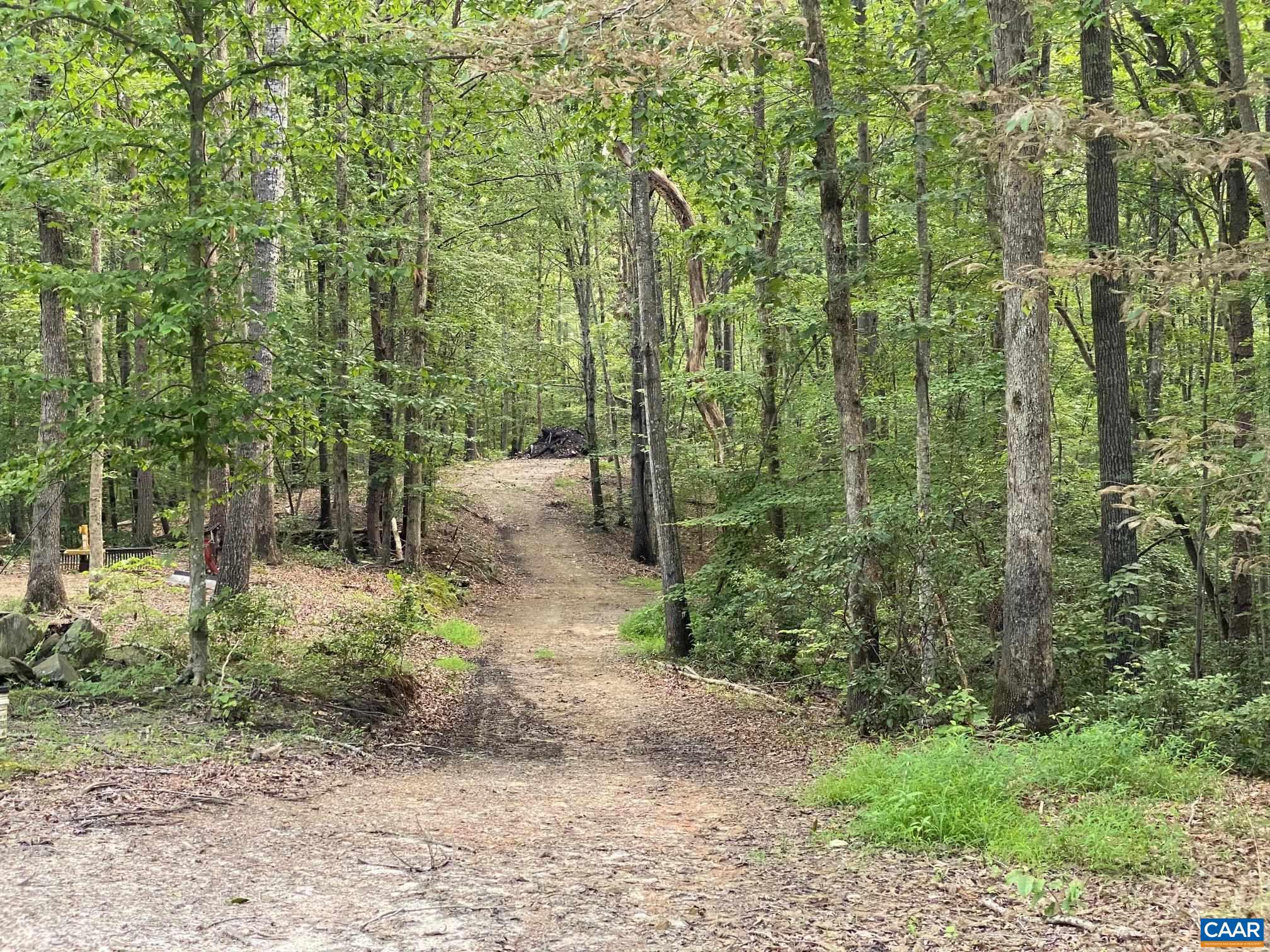 N-74 Salem Road, Unit 61A33F Schuyler, VA 22969 - Photo 10 of 12