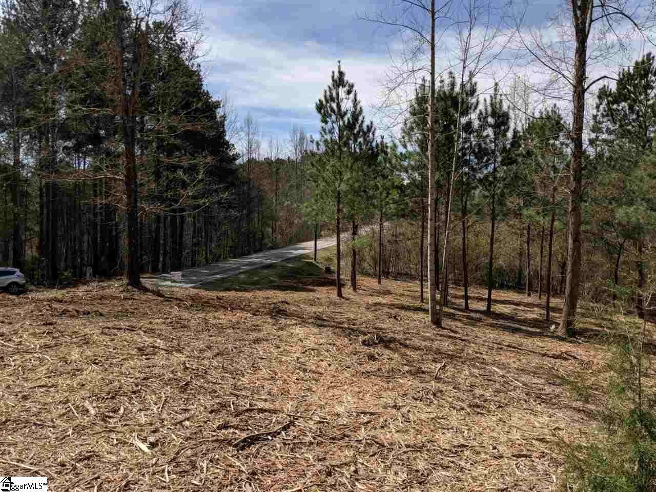 0 Waterford Ridge, Unit LOT 10 Seneca, SC 29672 - Photo 11 of 26 Gallery Image 11