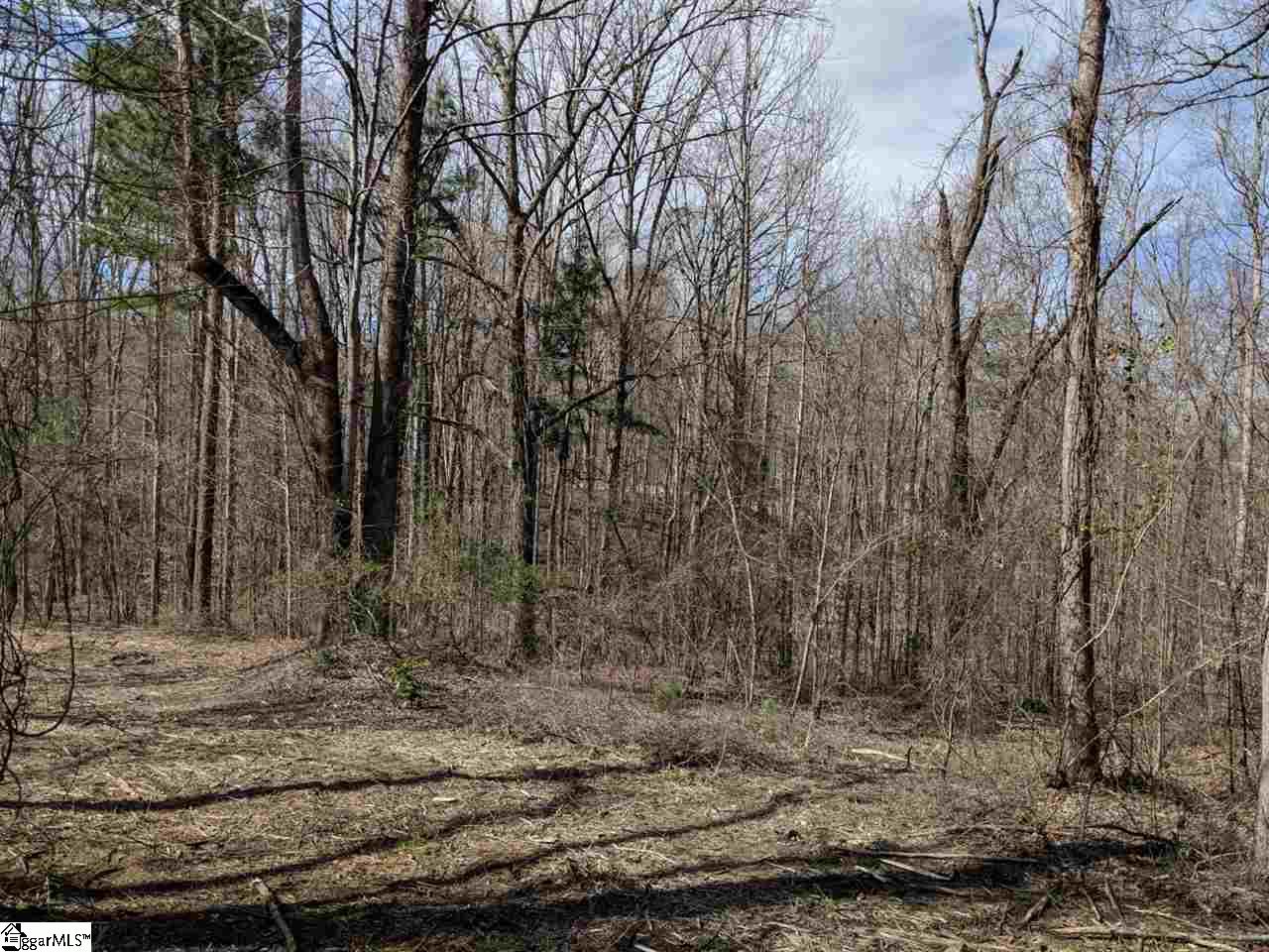 0 Waterford Ridge, Unit LOT 10 Seneca, SC 29672 - Photo 12 of 26 Gallery Image 12