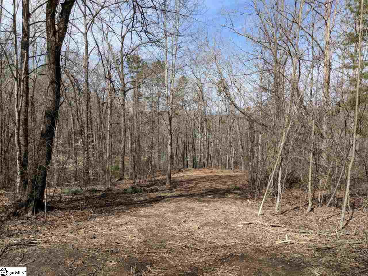 0 Waterford Ridge, Unit LOT 10 Seneca, SC 29672 - Photo 13 of 26 Gallery Image 13