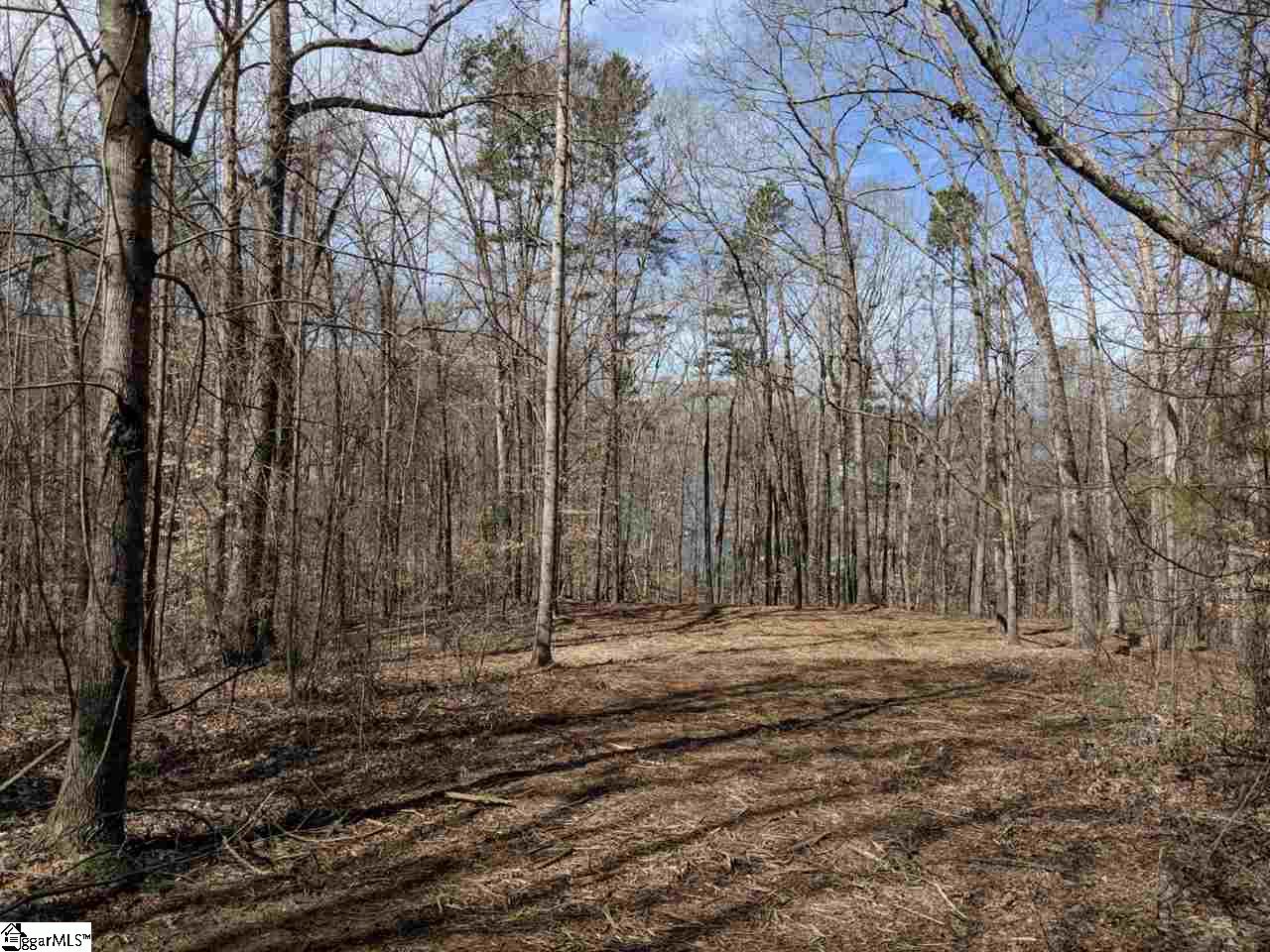 0 Waterford Ridge, Unit LOT 10 Seneca, SC 29672 - Photo 14 of 26 Gallery Image 14