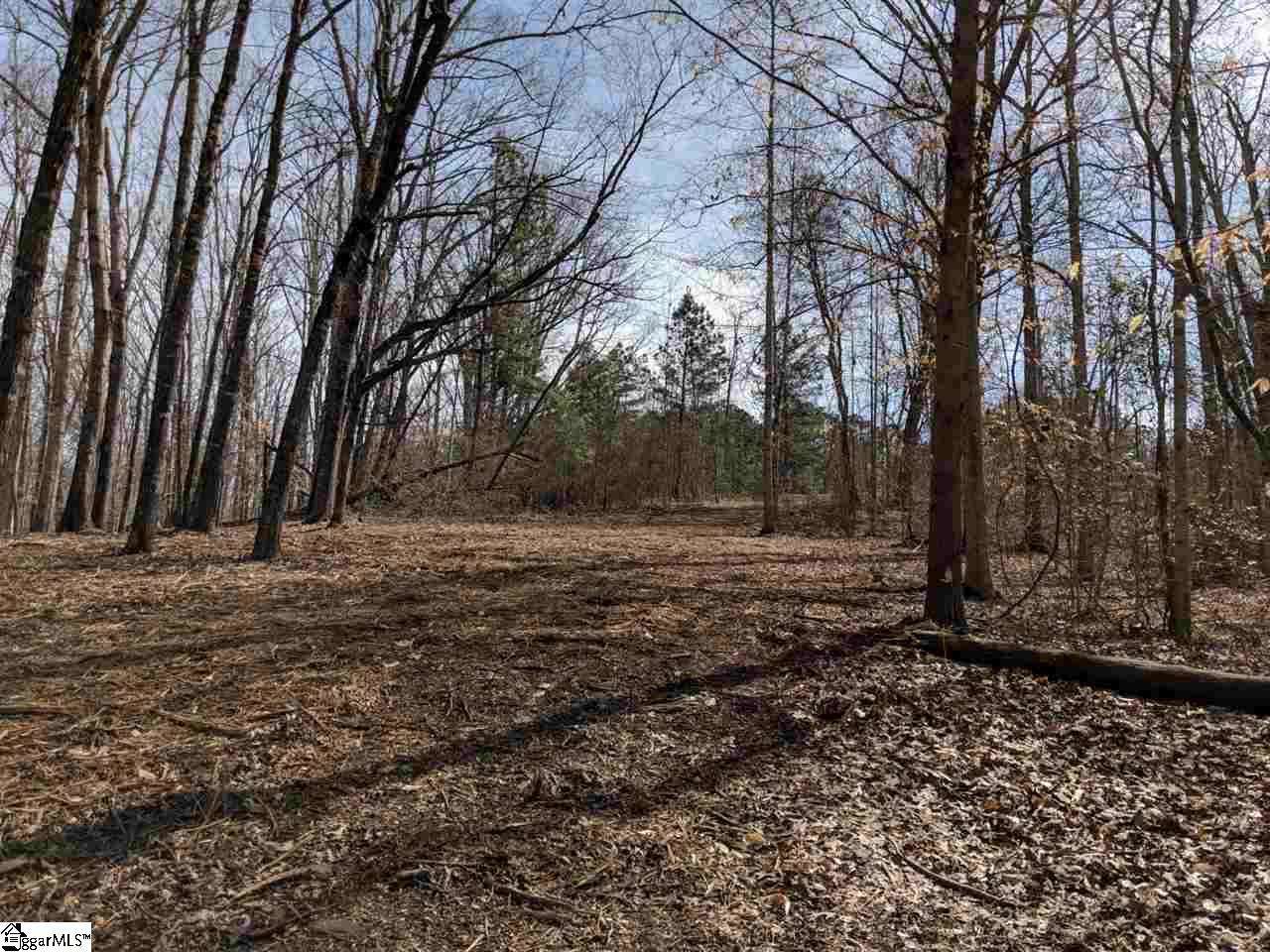 0 Waterford Ridge, Unit LOT 10 Seneca, SC 29672 - Photo 15 of 26 Gallery Image 15