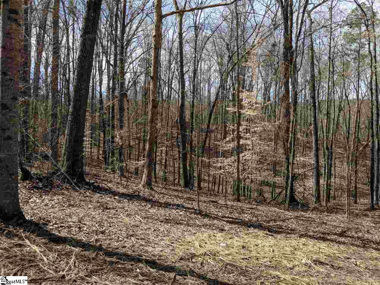 0 Waterford Ridge, Unit LOT 10 Seneca, SC 29672 - Photo 16 of 26 Gallery Image 16