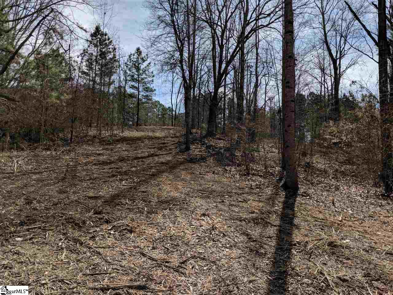 0 Waterford Ridge, Unit LOT 10 Seneca, SC 29672 - Photo 17 of 26 Gallery Image 17