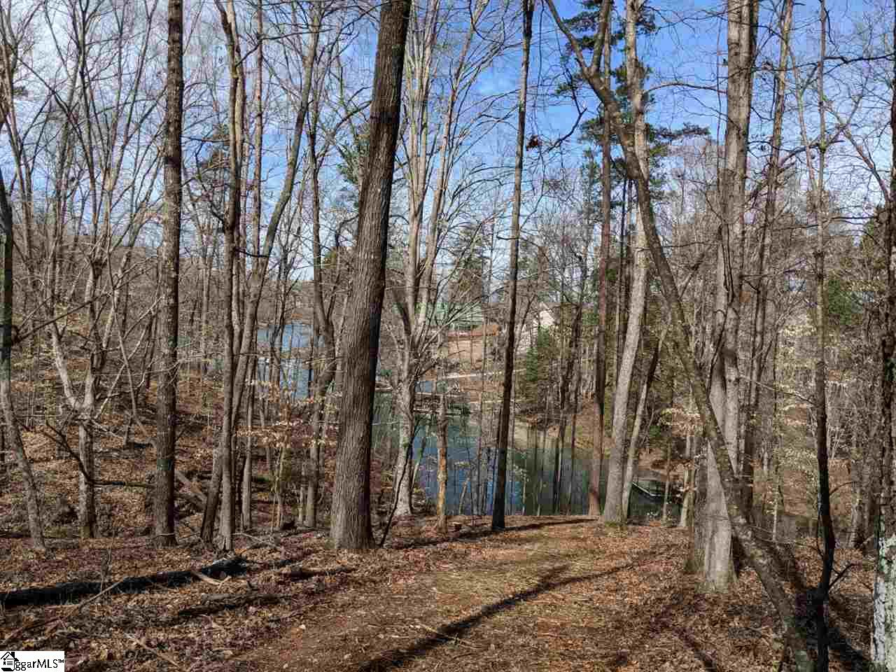 0 Waterford Ridge, Unit LOT 10 Seneca, SC 29672 - Photo 18 of 26 Gallery Image 18