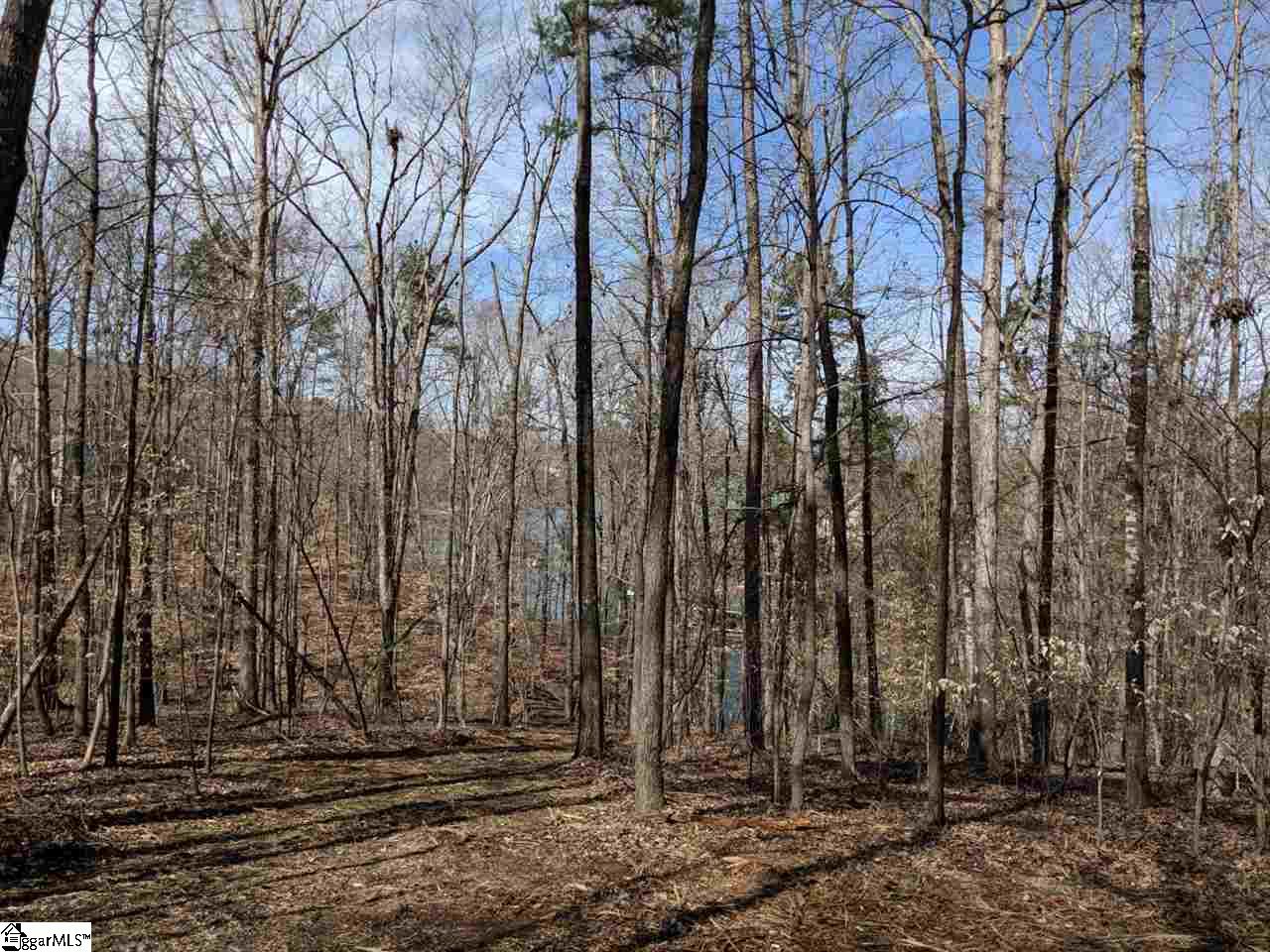 0 Waterford Ridge, Unit LOT 10 Seneca, SC 29672 - Photo 19 of 26 Gallery Image 19