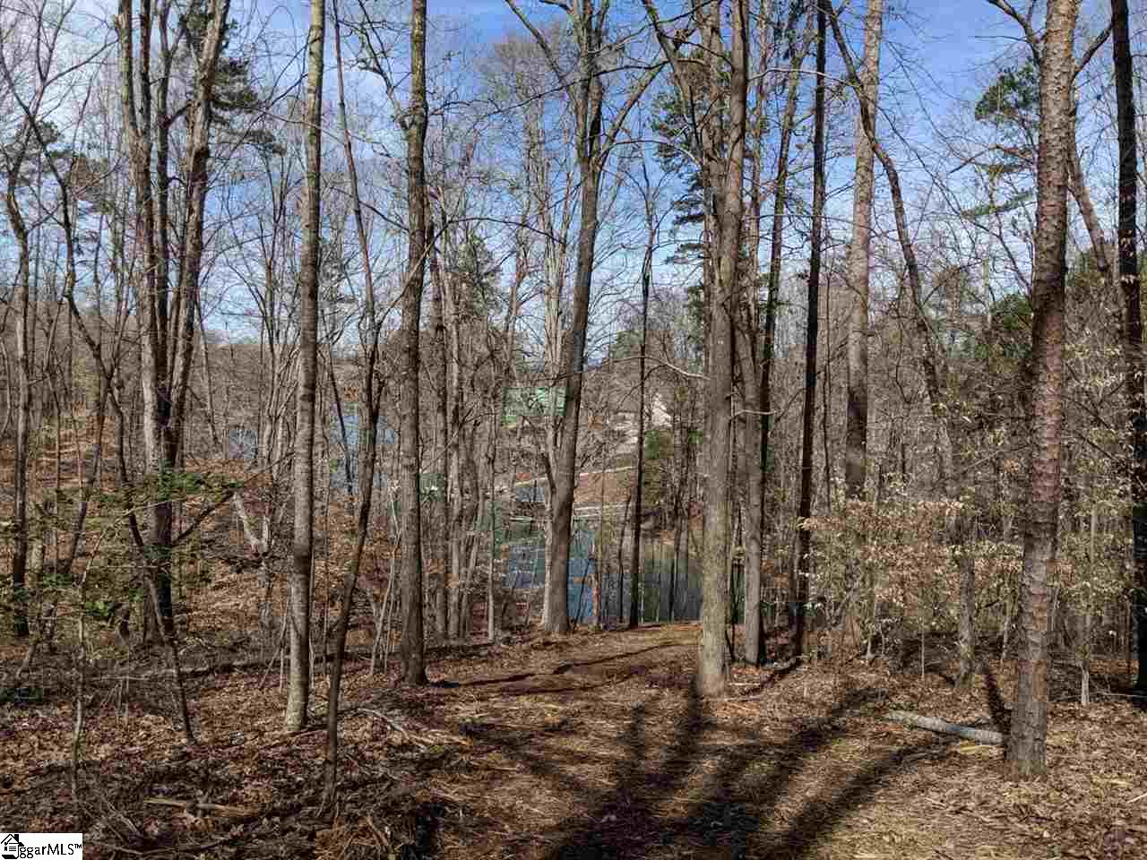 0 Waterford Ridge, Unit LOT 10 Seneca, SC 29672 - Photo 20 of 26 Gallery Image 20