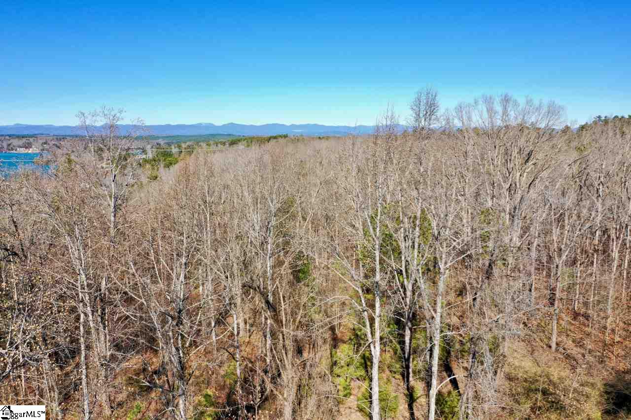 0 Waterford Ridge, Unit LOT 10 Seneca, SC 29672 - Photo 25 of 26 Gallery Image 25