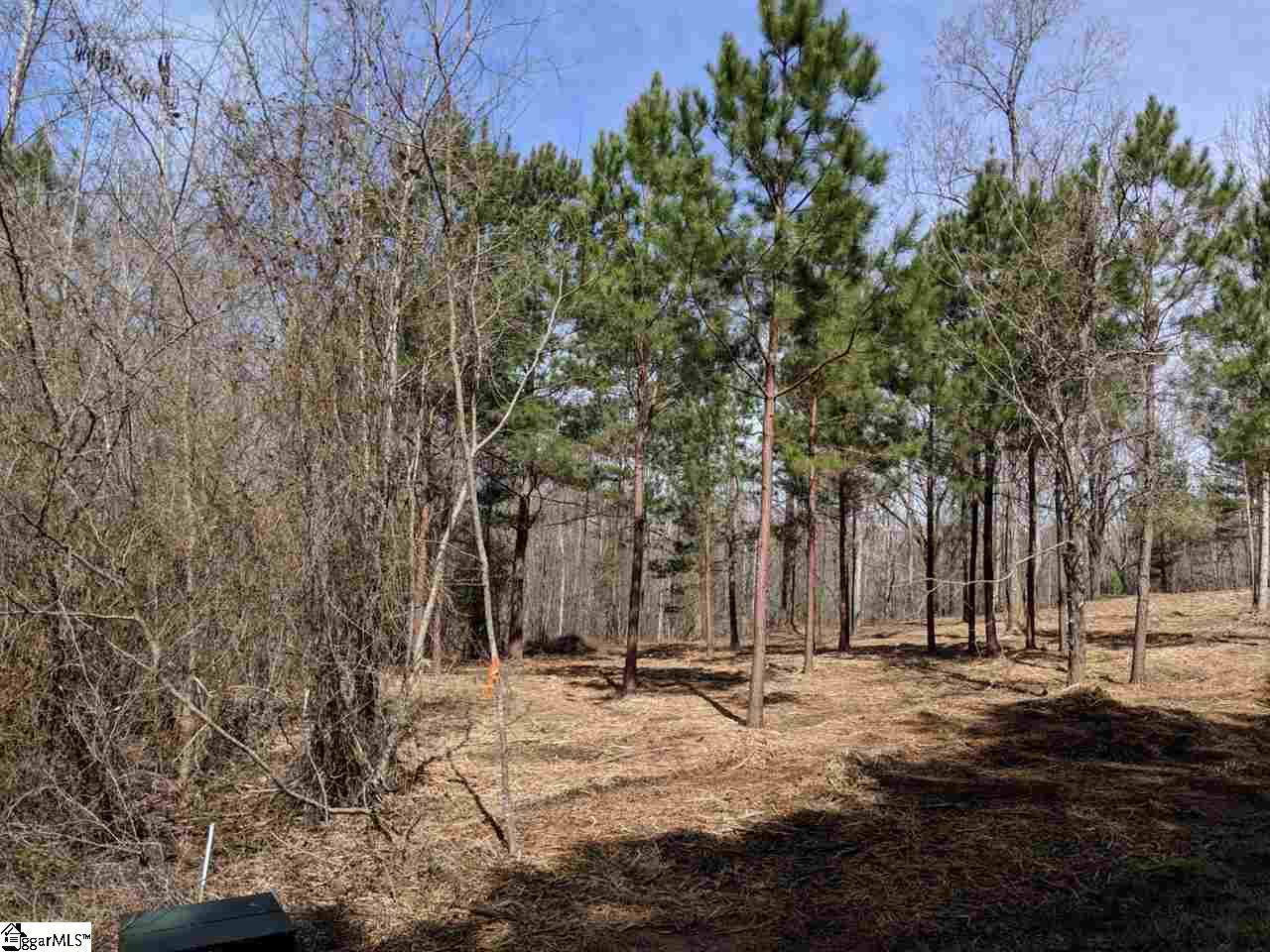 0 Waterford Ridge, Unit LOT 10 Seneca, SC 29672 - Photo 5 of 26 Gallery Image 5