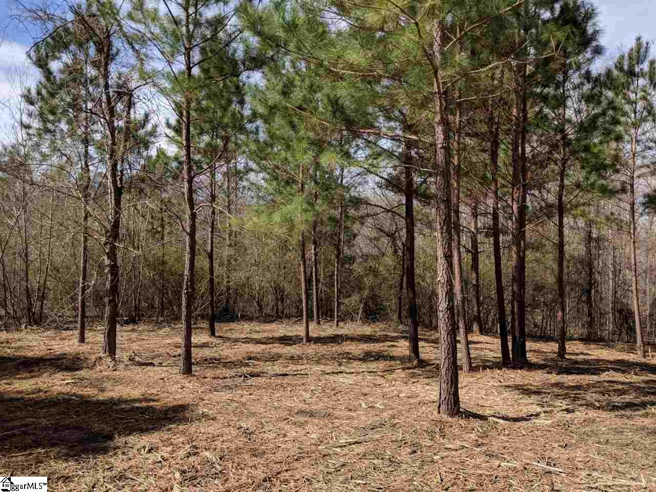0 Waterford Ridge, Unit LOT 10 Seneca, SC 29672 - Photo 6 of 26 Gallery Image 6