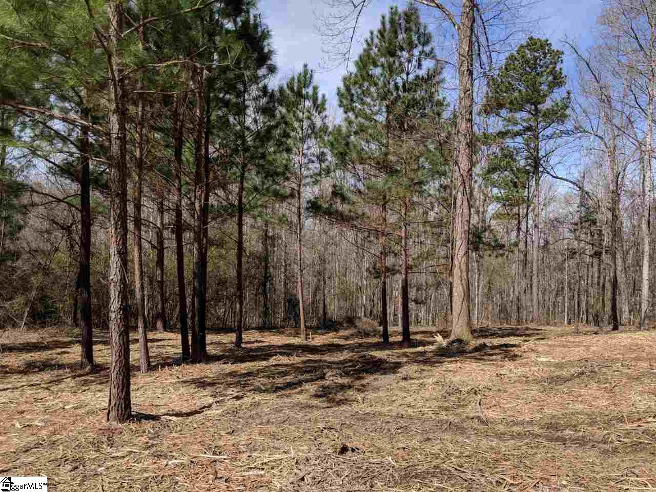 0 Waterford Ridge, Unit LOT 10 Seneca, SC 29672 - Photo 7 of 26 Gallery Image 7