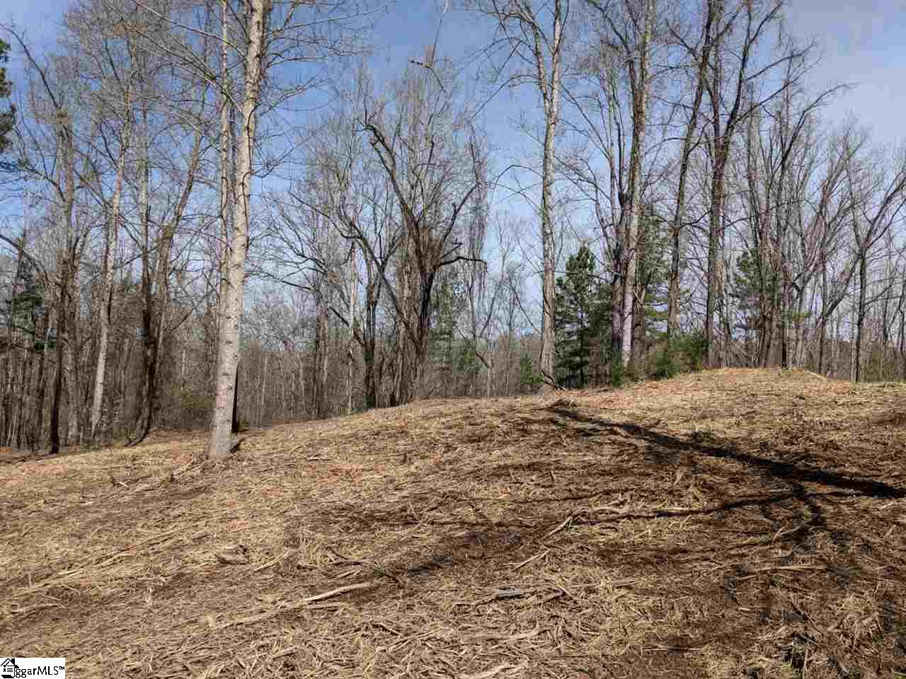 0 Waterford Ridge, Unit LOT 10 Seneca, SC 29672 - Photo 8 of 26 Gallery Image 8