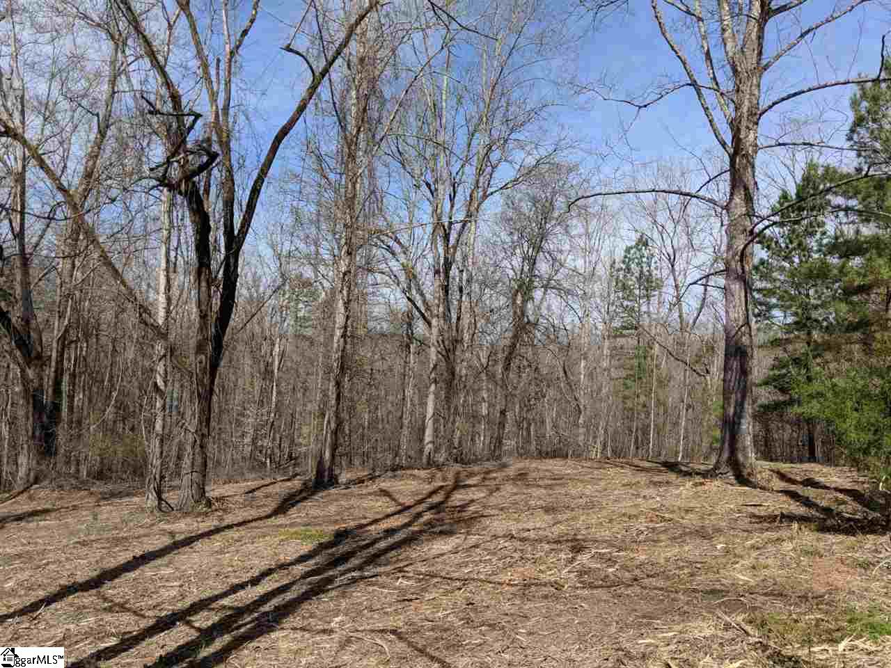 0 Waterford Ridge, Unit LOT 10 Seneca, SC 29672 - Photo 9 of 26 Gallery Image 9