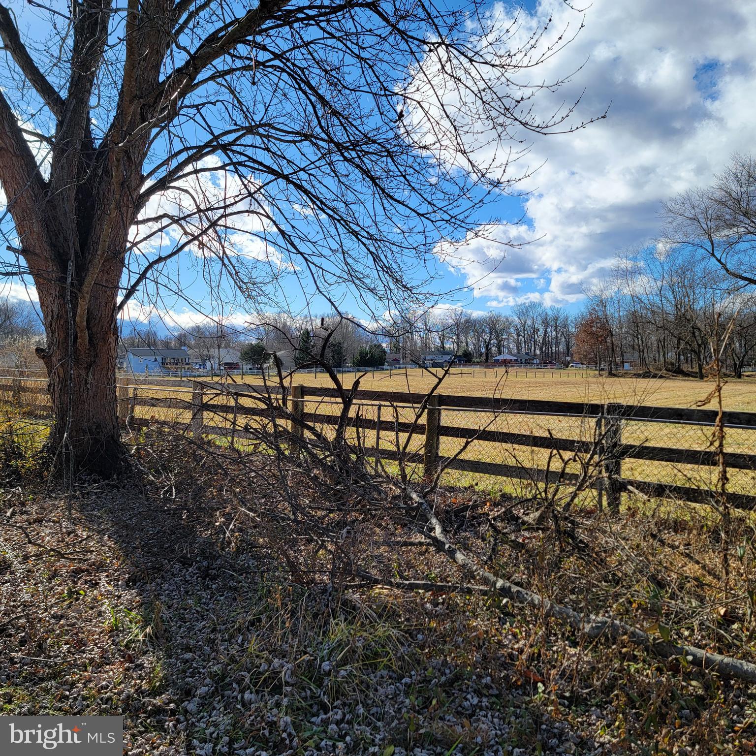 4102 Rectortown Road Marshall, VA 20115 - Photo 25 of 42 Beautiful view