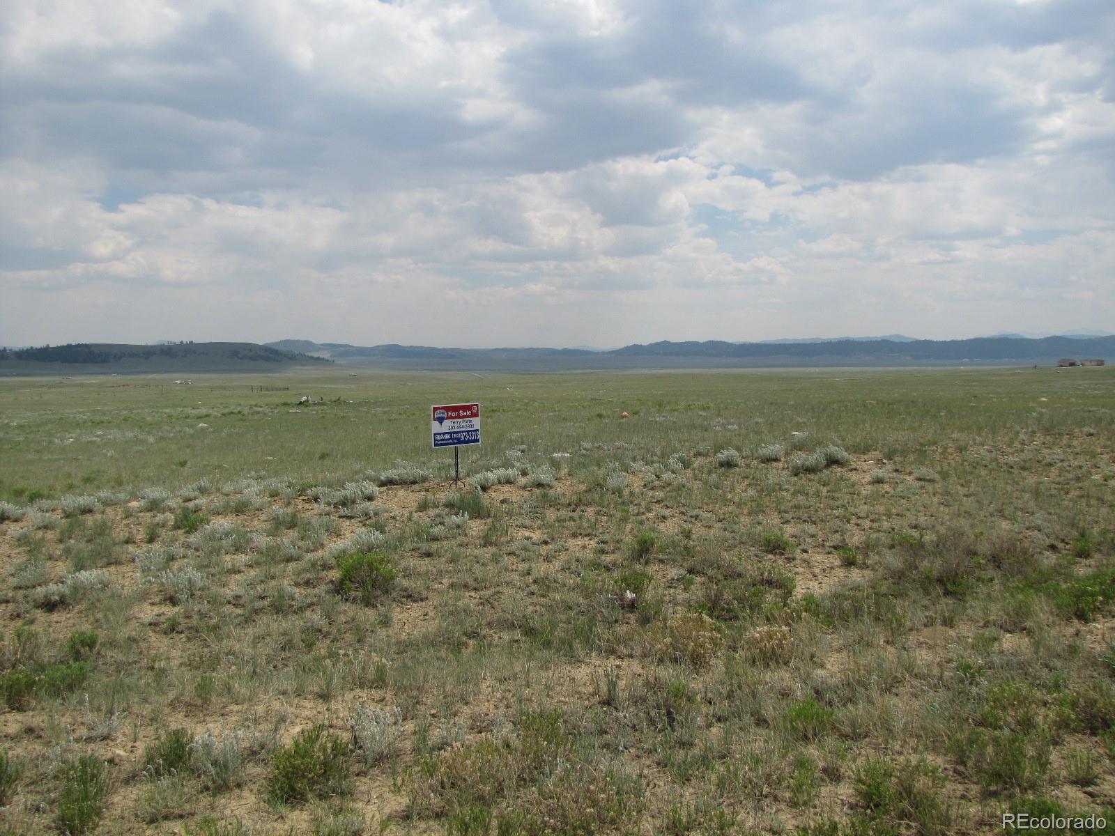 790 Routt Road Hartsel, CO 80449 - Photo 1 of 10