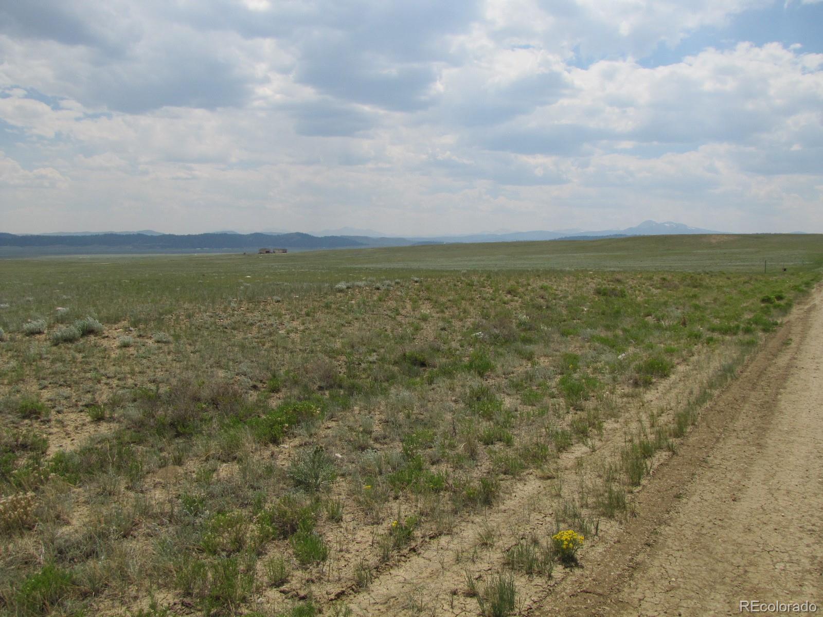 790 Routt Road Hartsel, CO 80449 - Photo 3 of 10