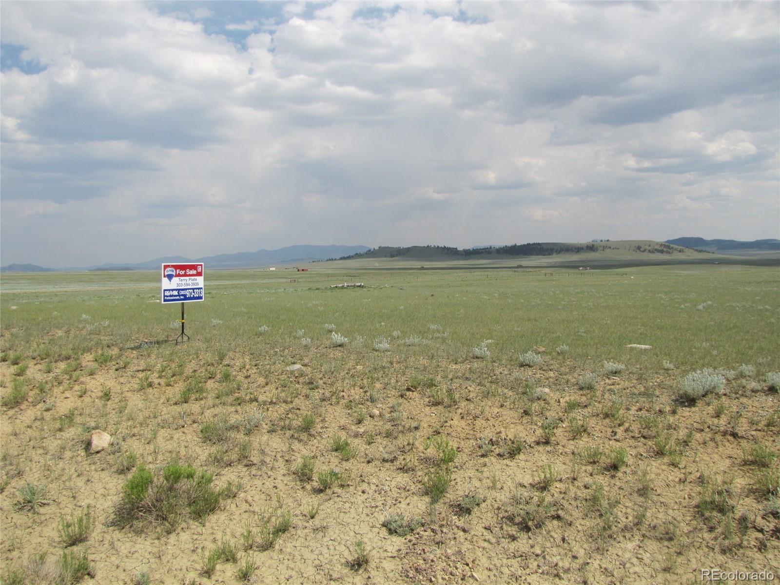 790 Routt Road Hartsel, CO 80449 - Photo 10 of 10