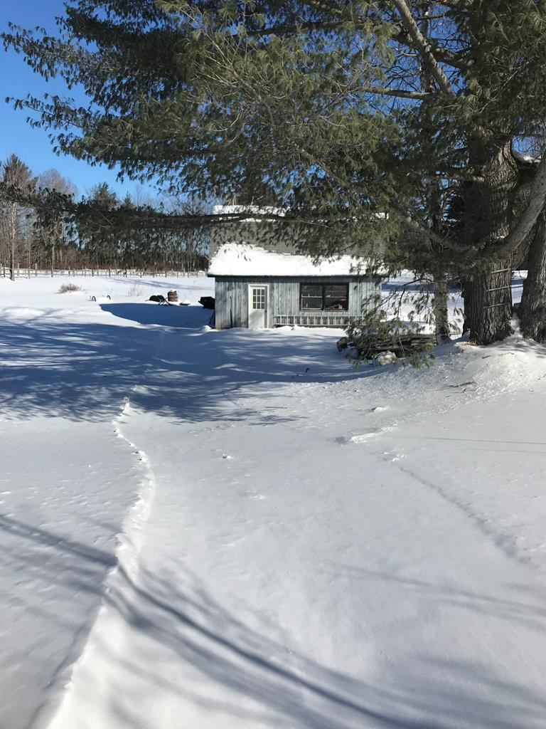 314 Ryan Road Saranac, NY 12981 - Photo 19 of 20 Gallery Image 19