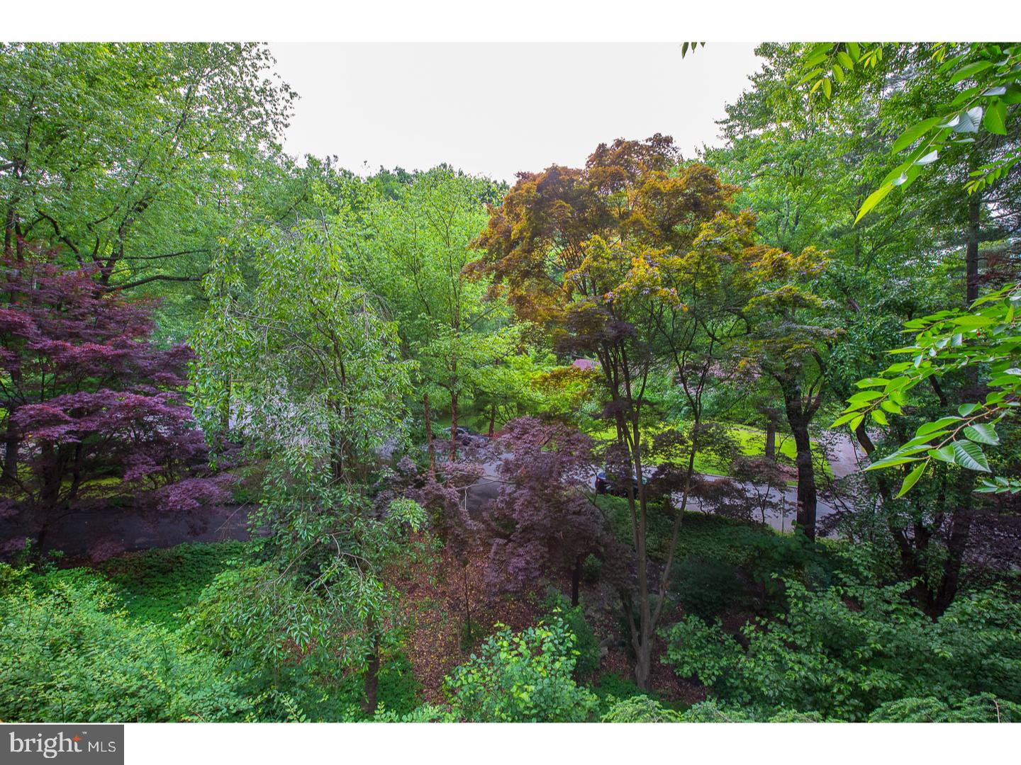 400 Hidden River Road Penn Valley, PA 19072 - Photo 18 of 20 Gallery Image 18