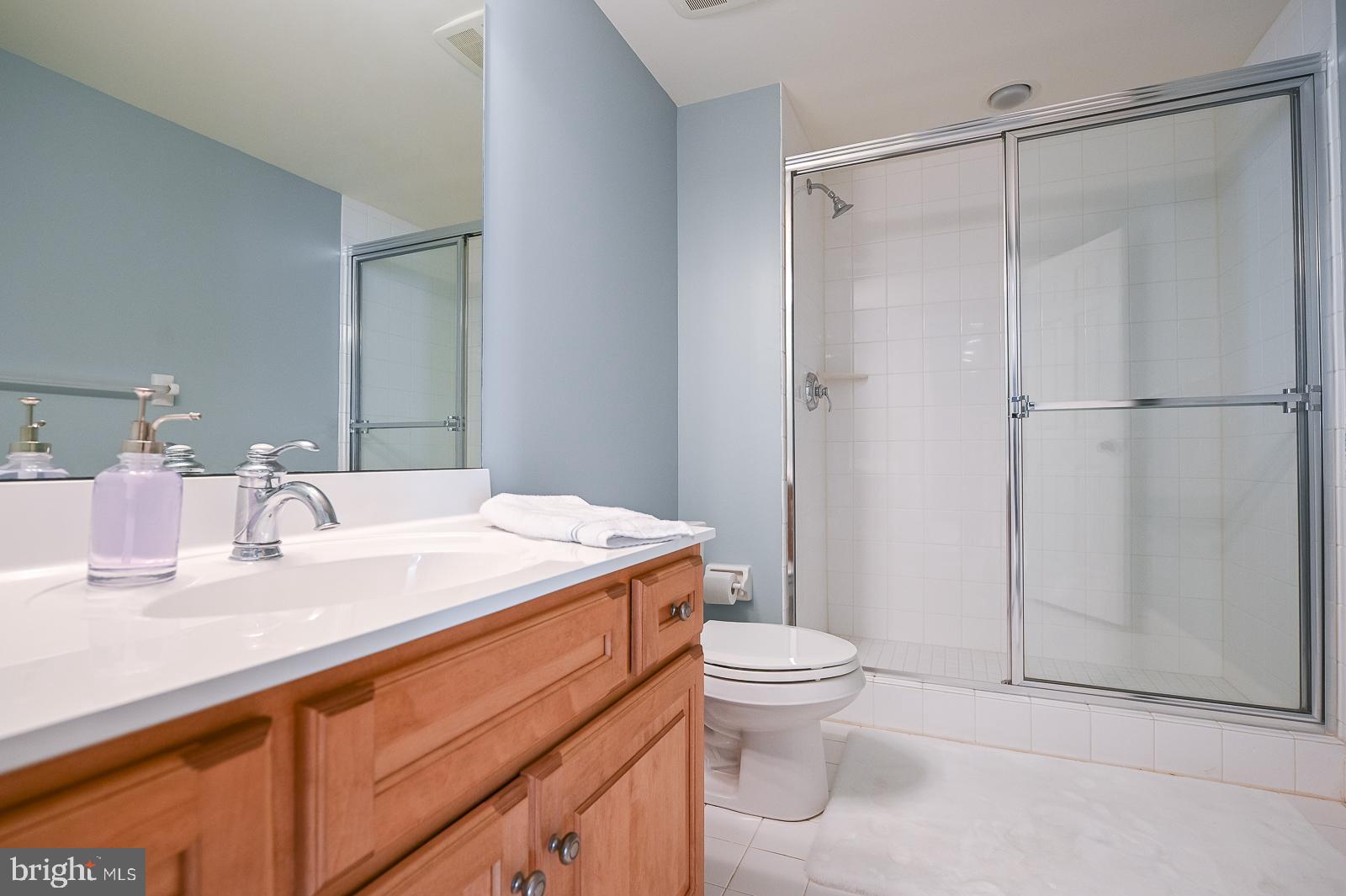 29 Fetters Mill Drive Malvern, PA 19355 - Photo 42 of 49 Finished Lower Level