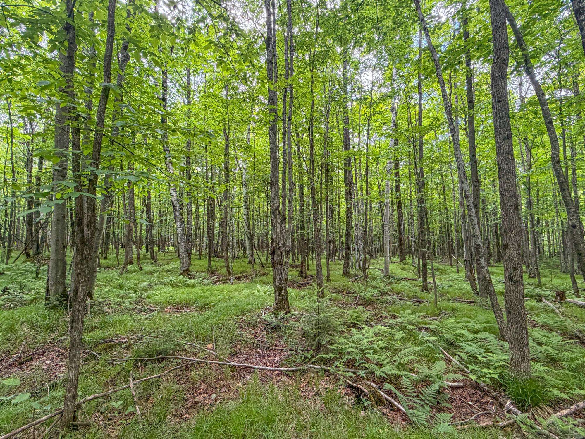 30 West Dover Road Phillips, WI 54555 - Photo 7 of 15