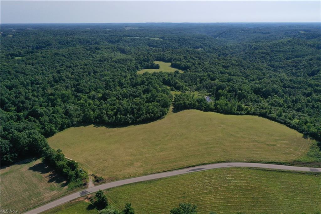 8610 West Triadelphia Road Malta, OH 43758 - Photo 33 of 42 GetMedia.ashx-10