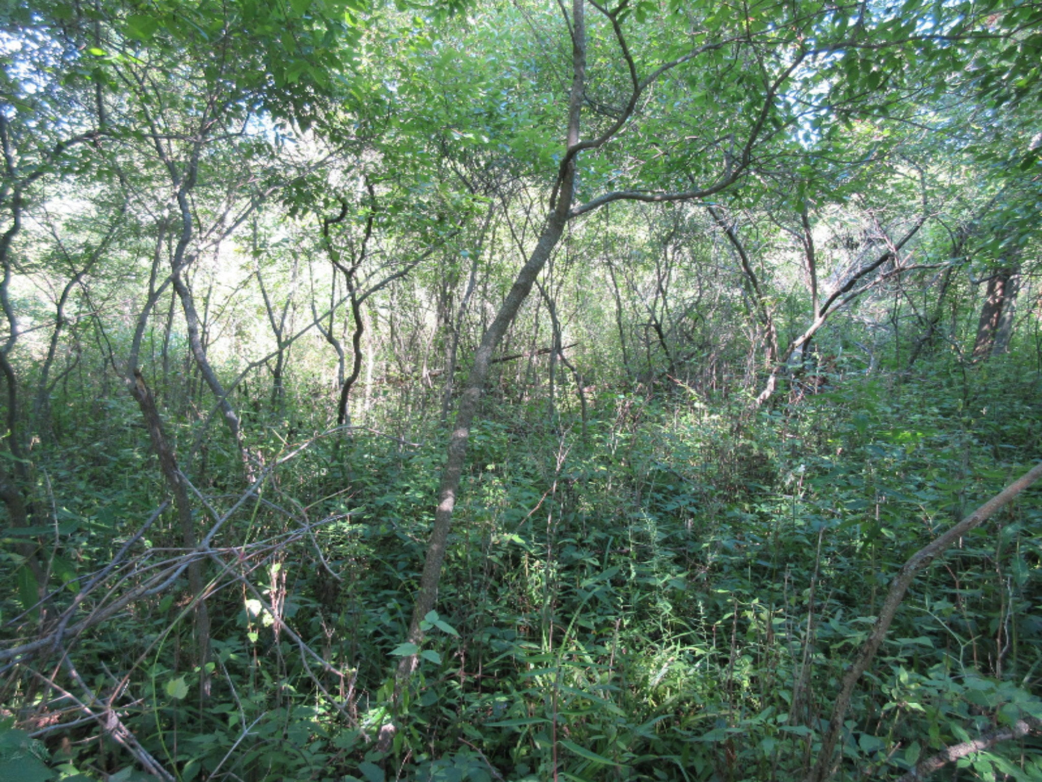 Adams Road Decker, MI 48426 - Photo 26 of 31 IMG_7205