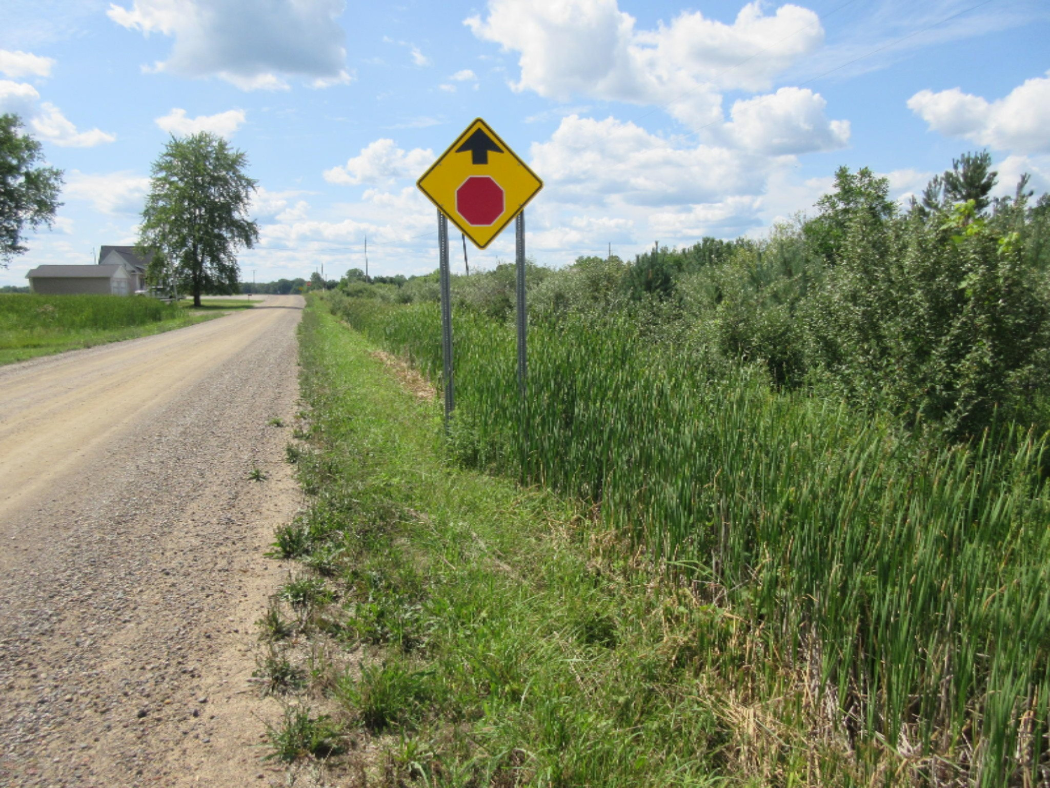 Adams Road Decker, MI 48426 - Photo 3 of 31 IMG_7152
