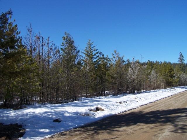 Xx North Powers Road Loon Lake, WA 99148 - Photo 3 of 4 Gallery Image 3