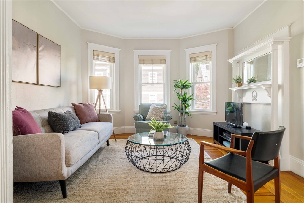 59 Pemberton Street, Unit 1 Cambridge, MA 02140 - Photo 4 of 30 a living room with furniture and a potted plant