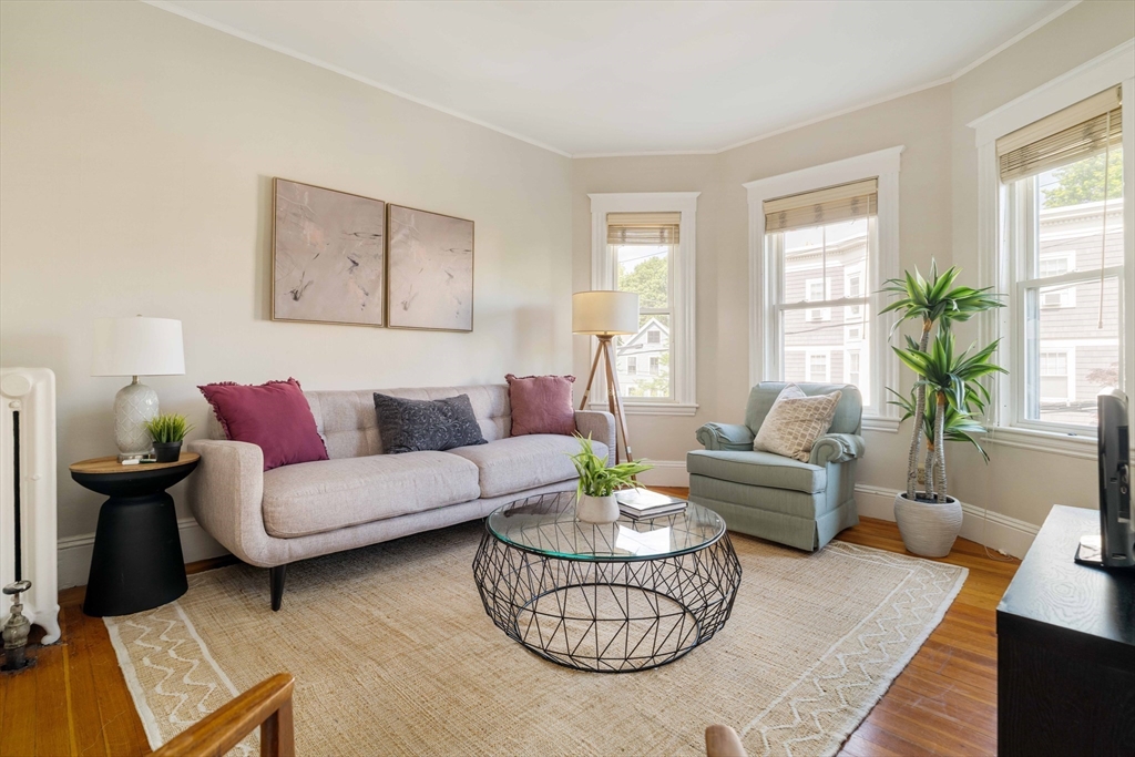 59 Pemberton Street, Unit 1 Cambridge, MA 02140 - Photo 5 of 30 a living room with furniture potted plant and window