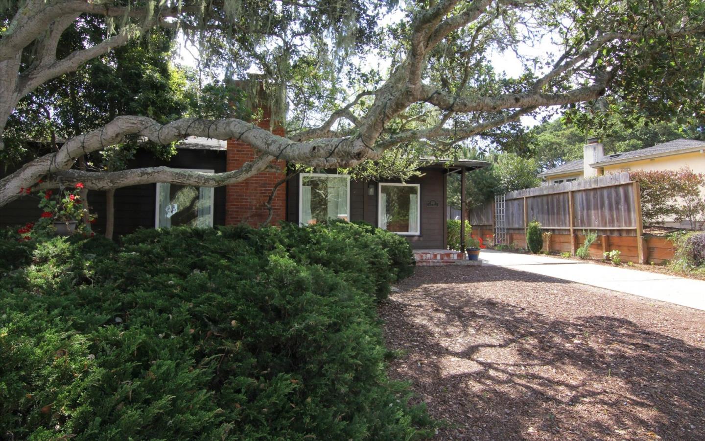 1251 Pacific Street Monterey, CA 93940 - Photo 1 of 25 a view of backyard with green space