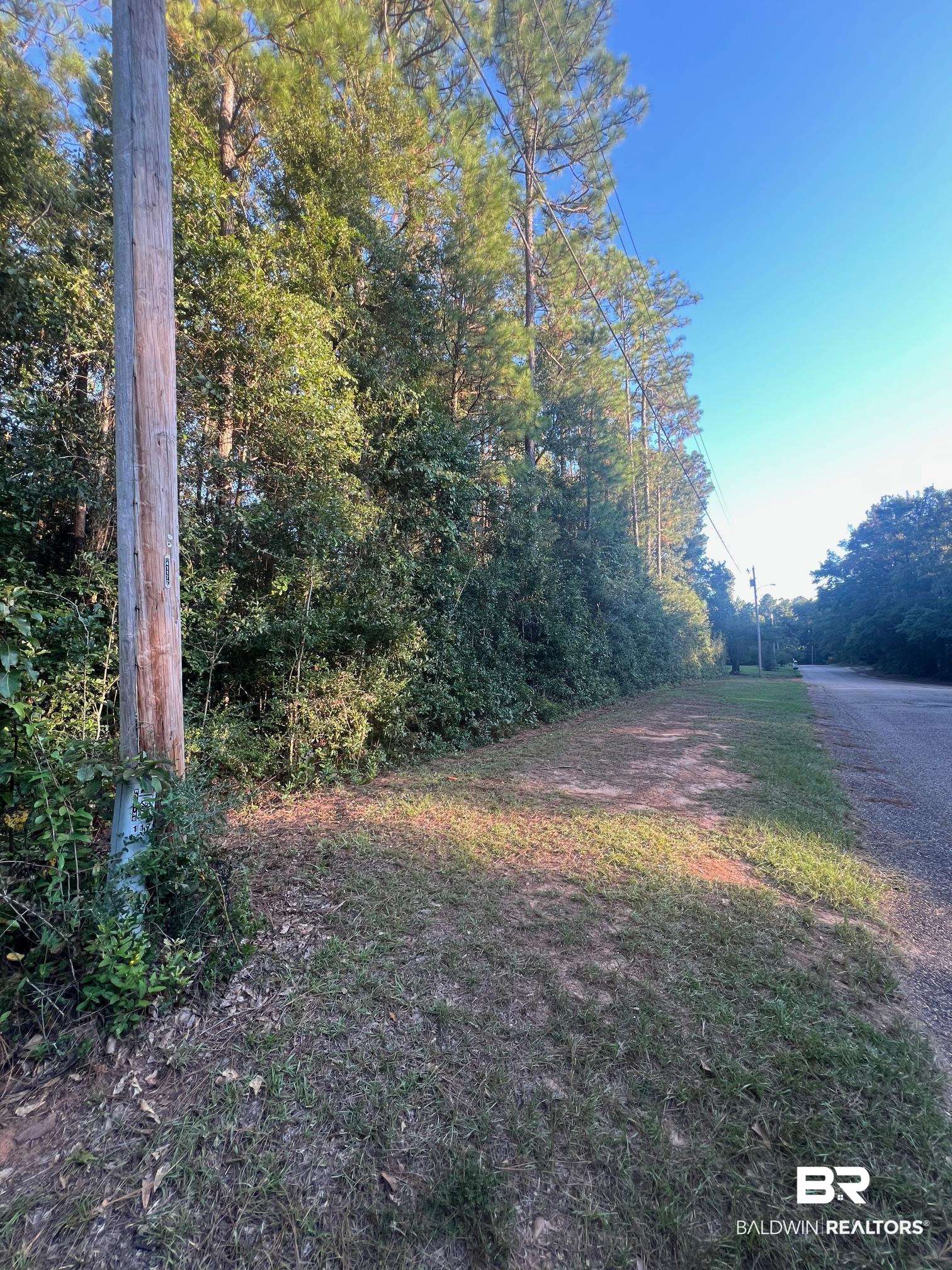 117 Melanie Loop Daphne, AL 36526 - Photo 2 of 6 View of yard