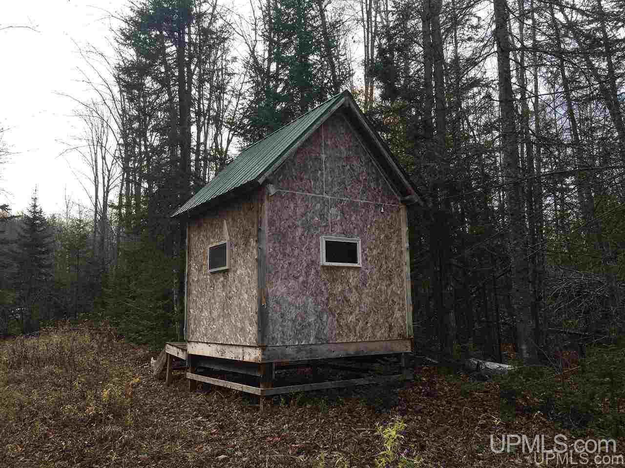40-acres Off Cadeau Road Baraga, MI 49908 - Photo 19 of 19
