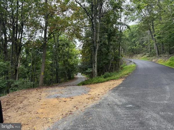 a view of a dirt road with trees in the background