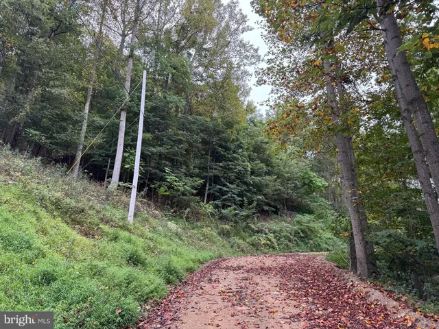 a view of an outdoor space and trees all around
